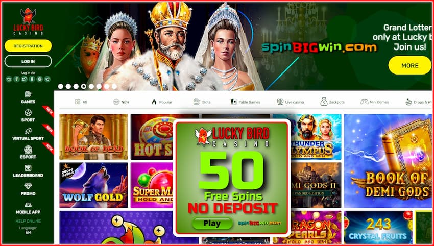 Lucky Bird Casino (Review) 50 Free Spins No Deposit are in this photo.